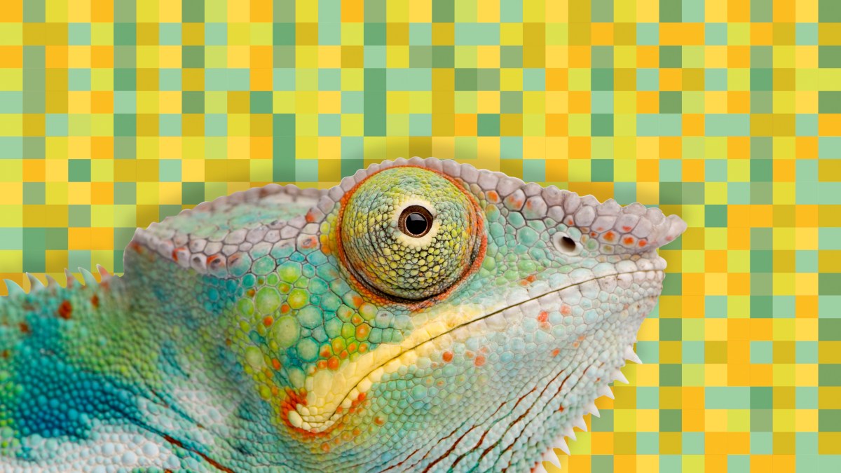 Transformative Learning