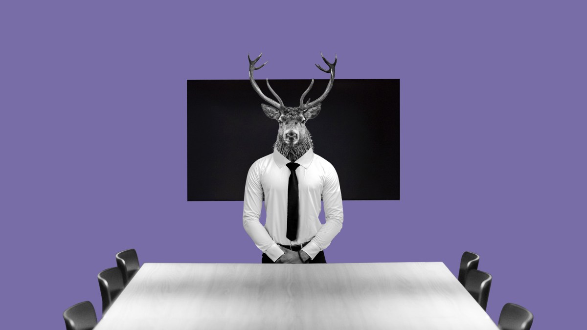 Executive presence training