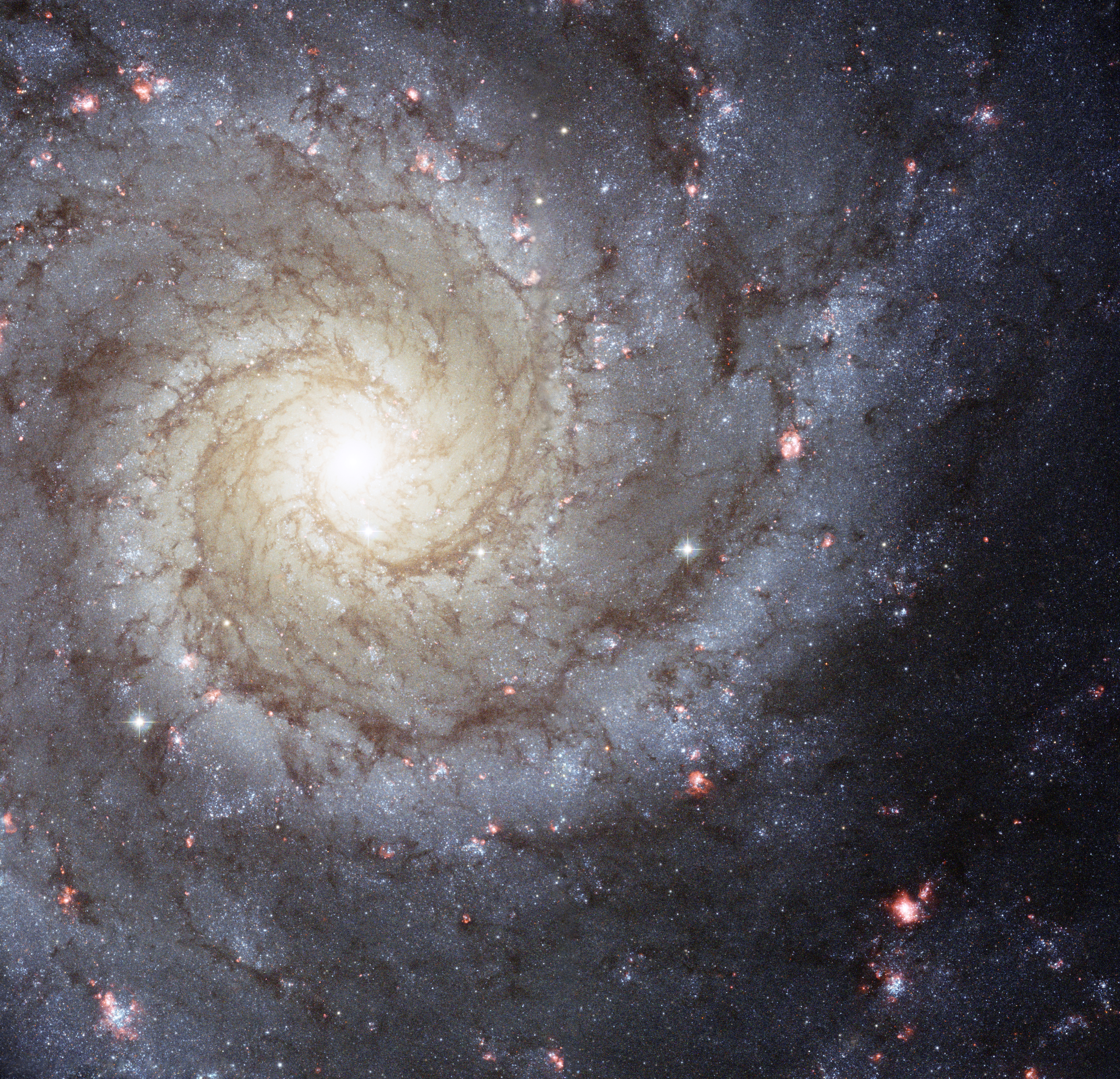 hubble phantom galaxy m74 ngc 628