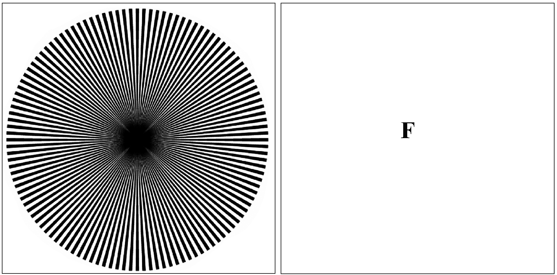 optical illusions