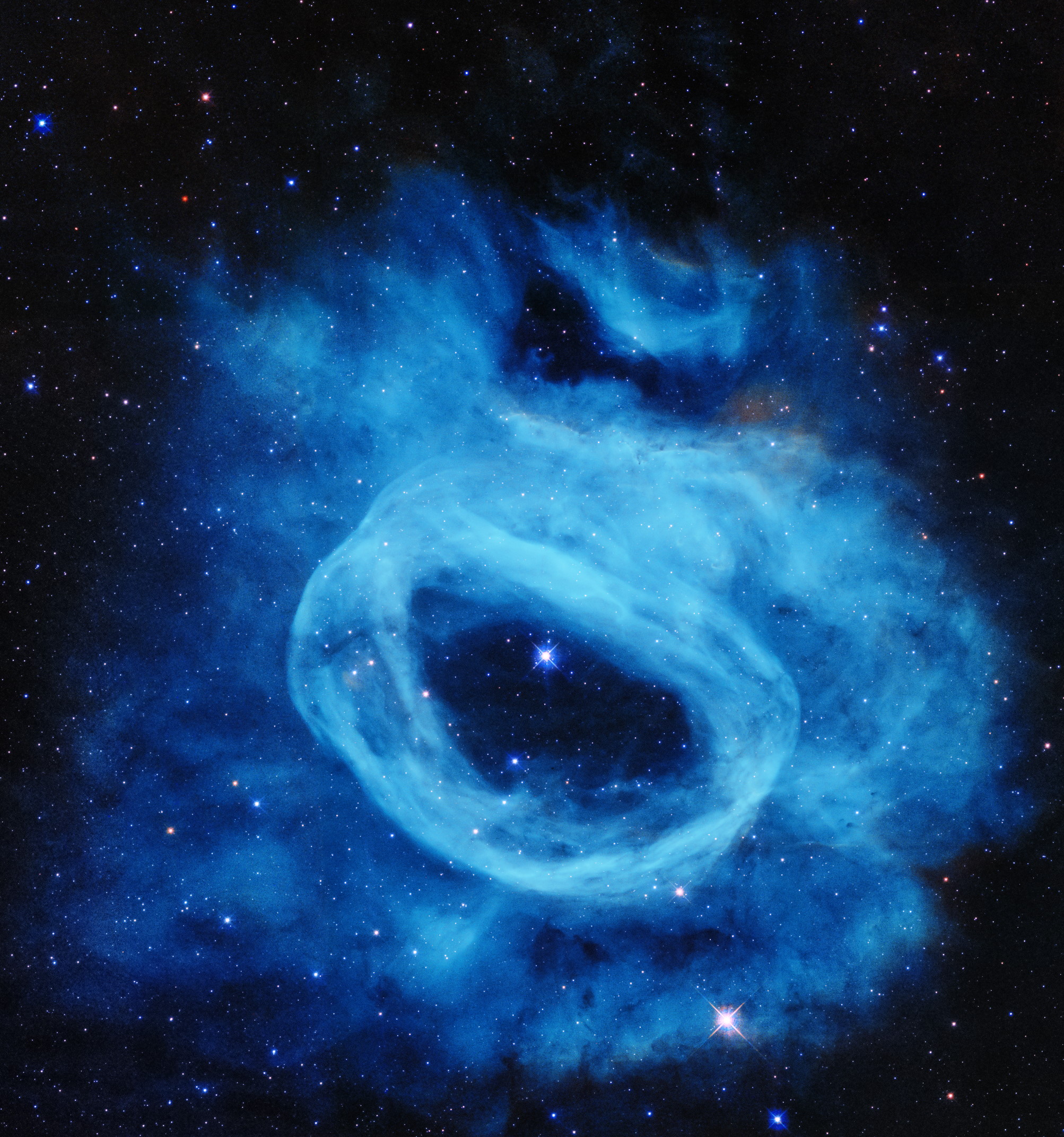 Wolf-Rayet star cosmic reef
