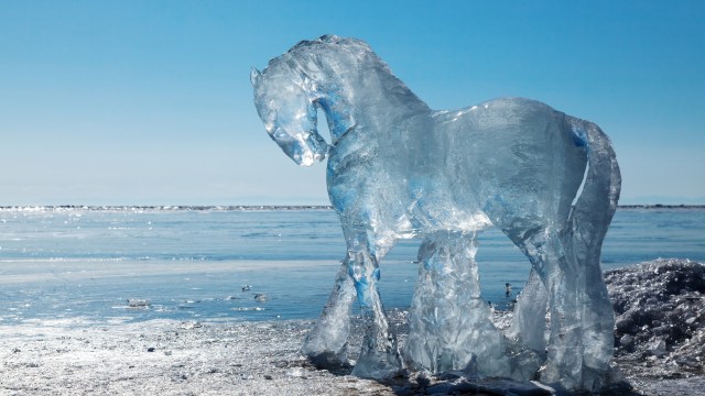 ice