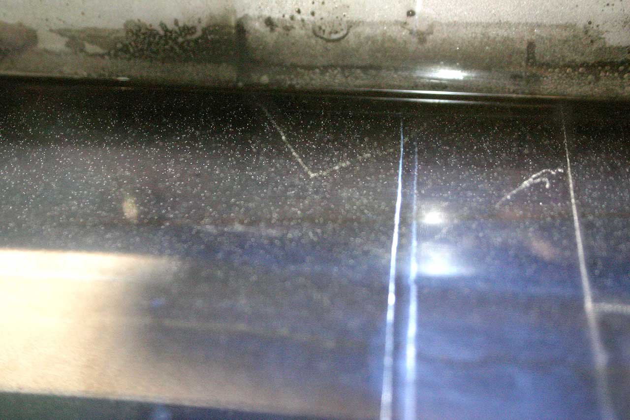 muon track decay