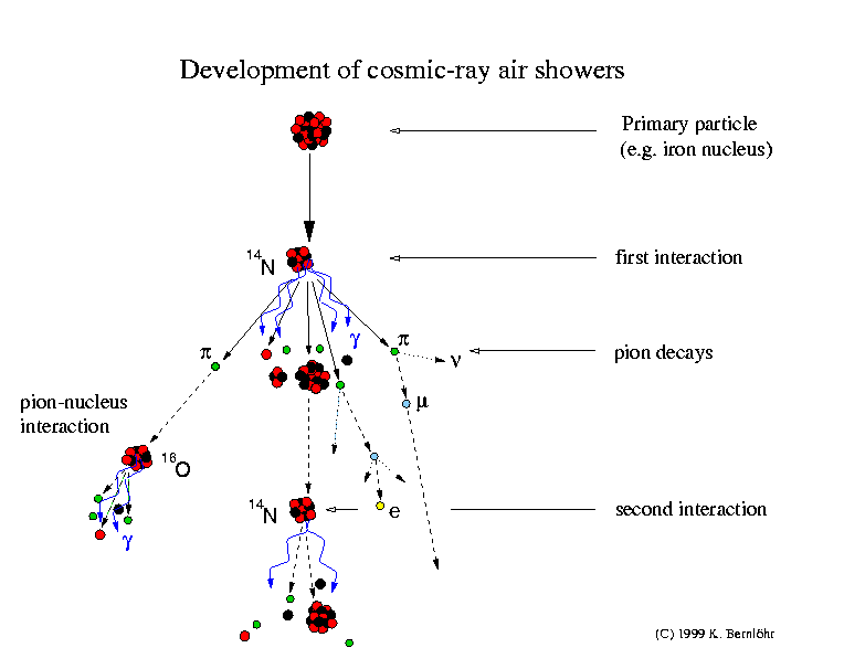 cosmic ray shower
