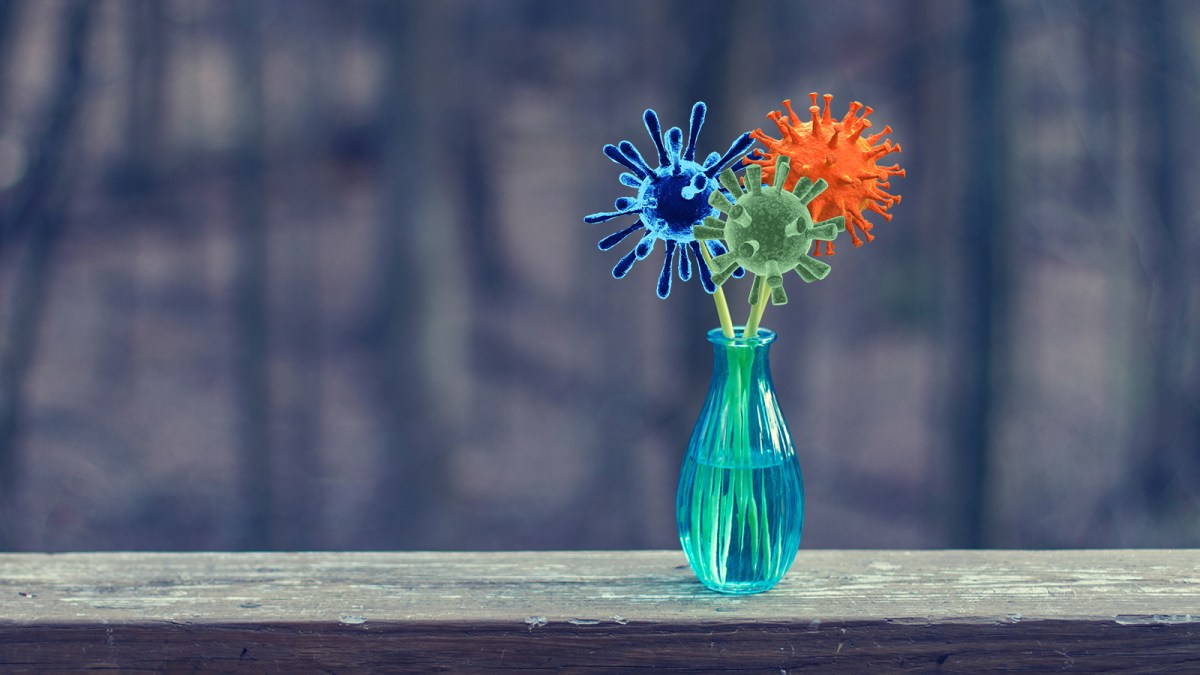 universal flu vaccine