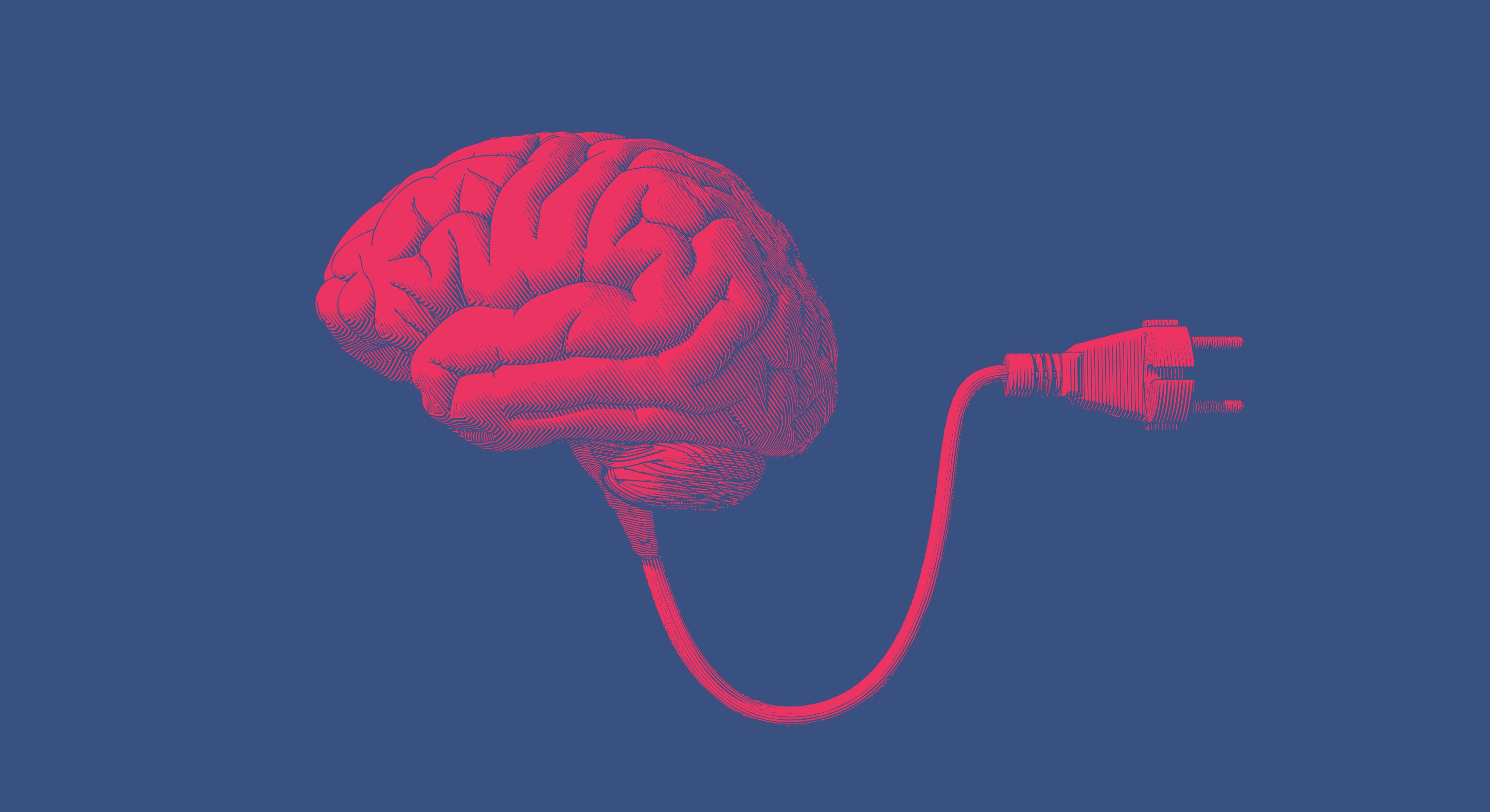 human brain
