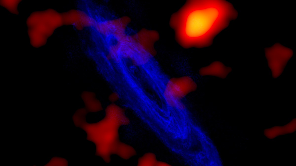 Ghosts of andromeda molecular clouds