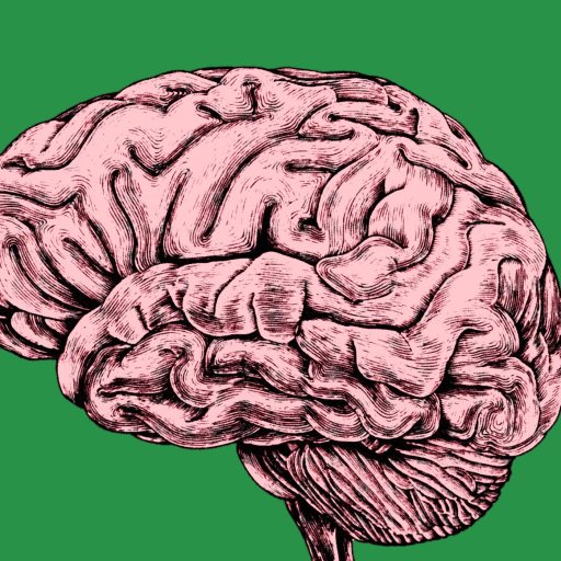Illustration of a human brain in pink tones shown in profile view, set against a solid green background.