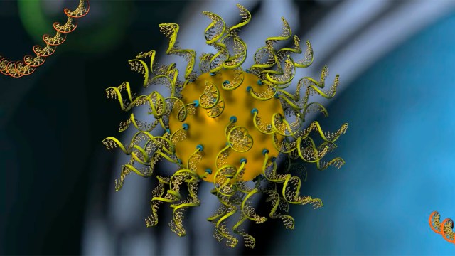 rational vaccinology