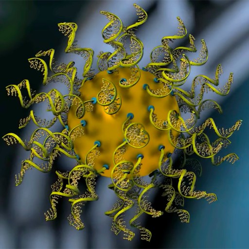 rational vaccinology