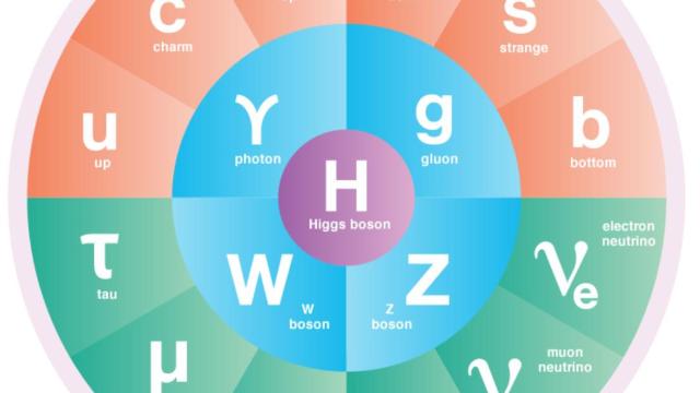 Standard Model particles symmetry