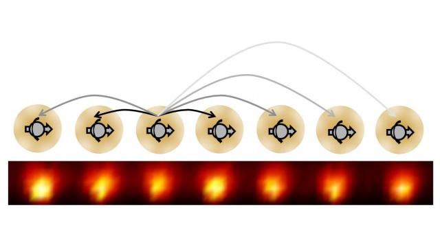 time crystal entangled electron spin