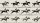 A sequence of black-and-white frames showing a horse and rider in motion, depicting various stages of a gallop.