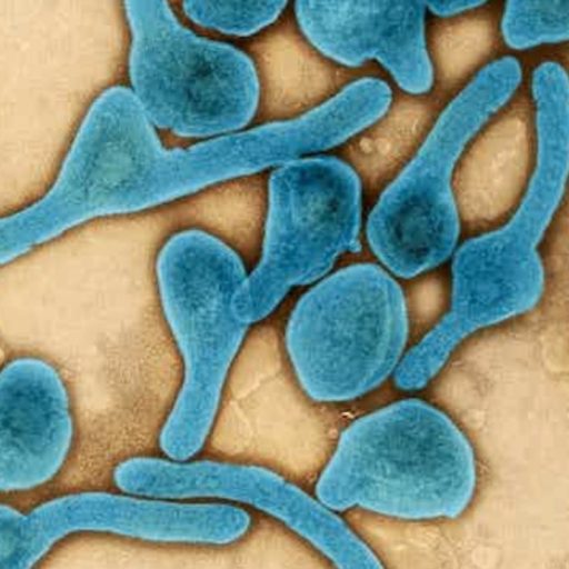 a close up of a blue substance on a white surface.