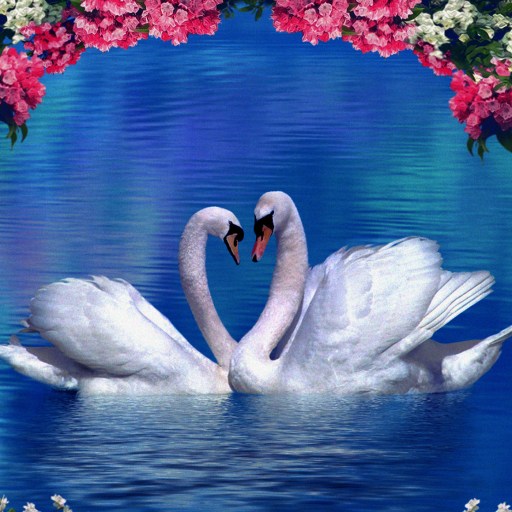 a painting of two swans swimming in a lake.
