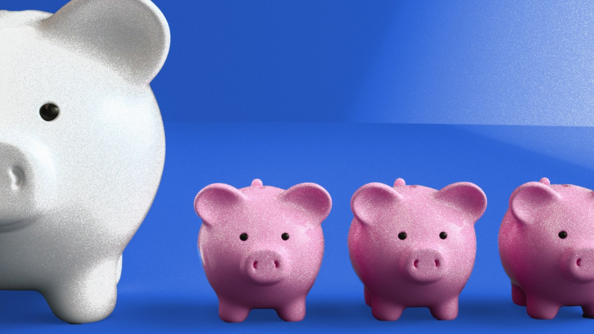 a group of three pink pigs standing next to each other.