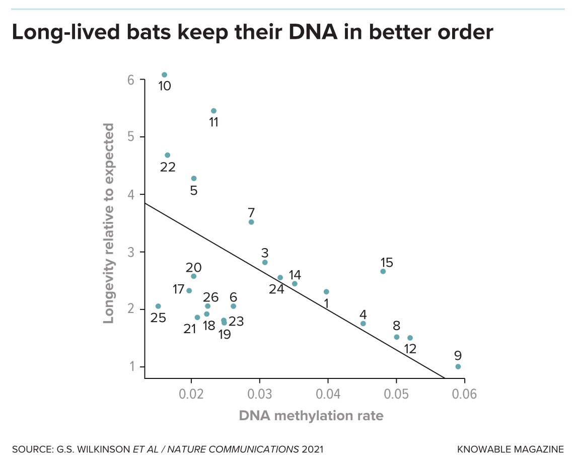 a line graph with a line graph and a line graph on it.