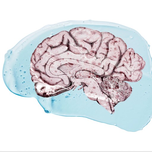 a drawing of a human brain in blue water.