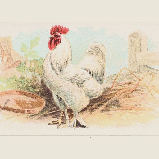 A white rooster, symbolizing the protein origin of life, stands on straw near a wooden fence, a dish, and some greenery in the background.