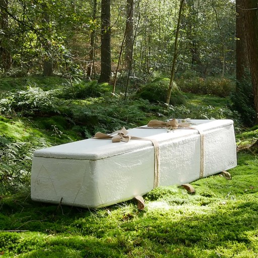 a white coffin sitting in the middle of a forest.