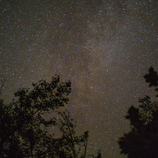 the night sky is filled with stars and trees.