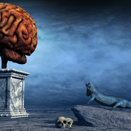 a statue of a human head next to a statue of a human body.