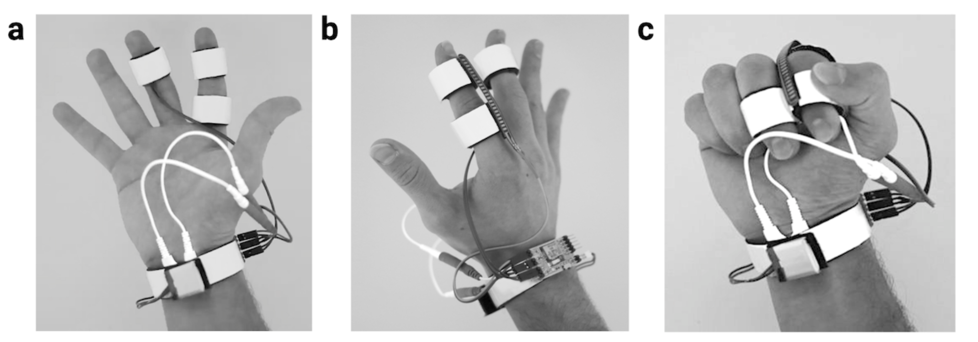 a hand with a wrist strap attached to it.