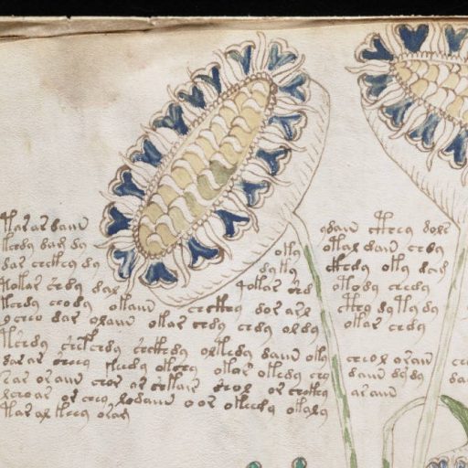 an open book with a drawing of flowers on it.