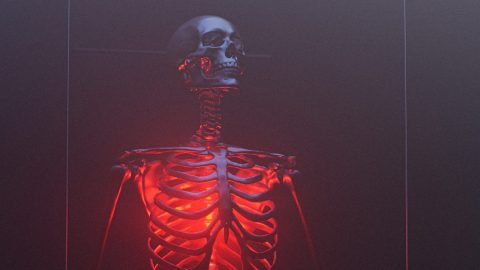 a skeleton is shown in a red light.