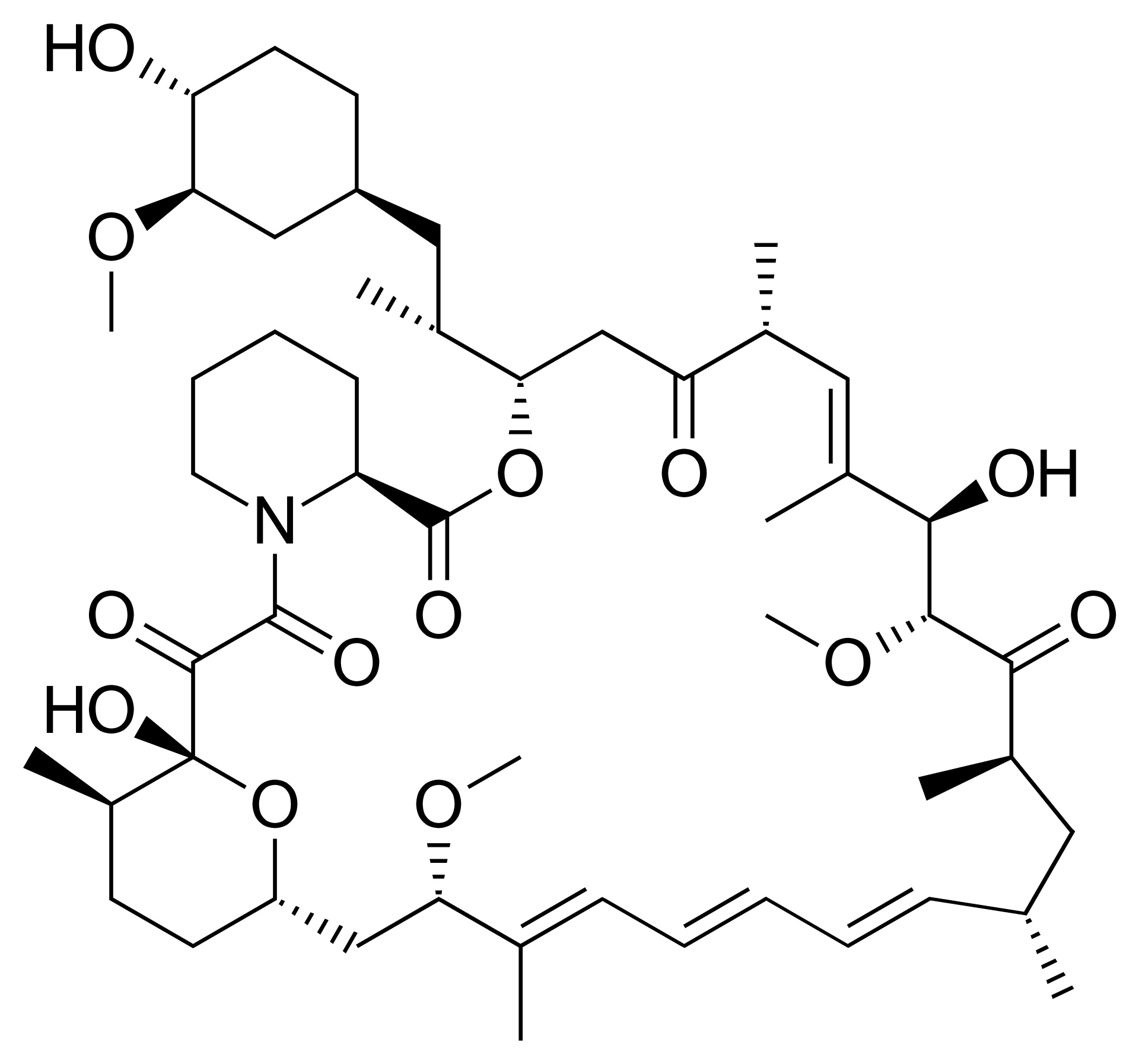 rapamycin