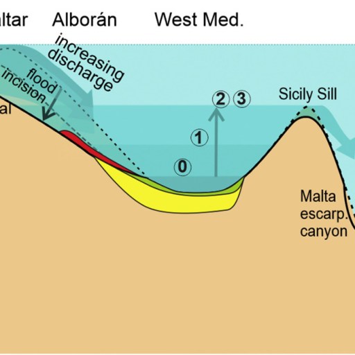 a diagram of the ocean floor.