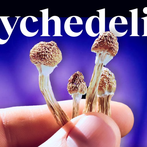 a hand holding a tiny group of mushrooms.