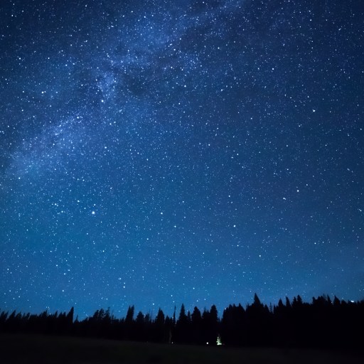 the night sky with stars and trees in the foreground.