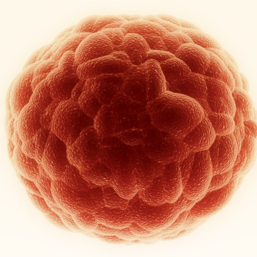 a red ball of blood on a white background.