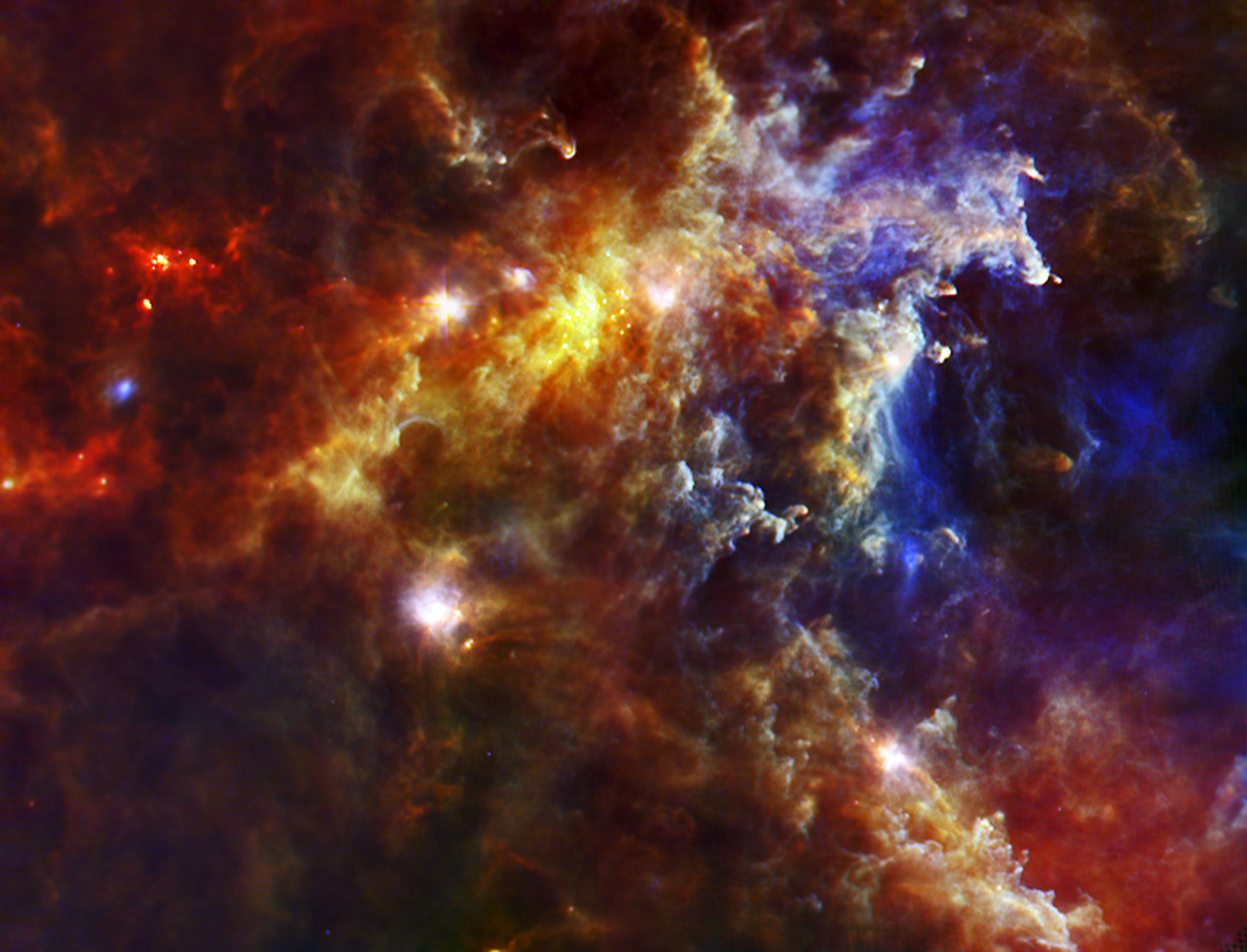 embryonic stars