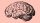 Black and white vintage illustration of a human brain viewed from the side, set against a solid light pink background.