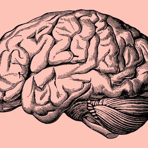Black and white vintage illustration of a human brain viewed from the side, set against a solid light pink background.