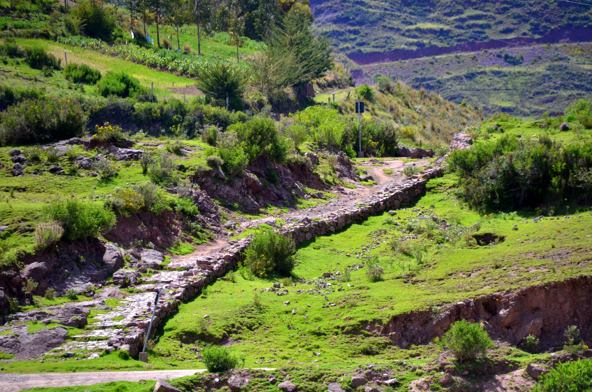 a dirt road in the middle of a lush green valley.