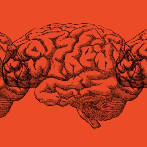 Three illustrated human brains in a row on an orange background.