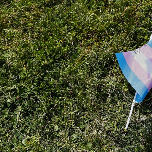 a blue and pink umbrella laying in the grass.