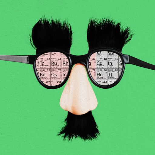 a pair of glasses with a fake bird's head on it.