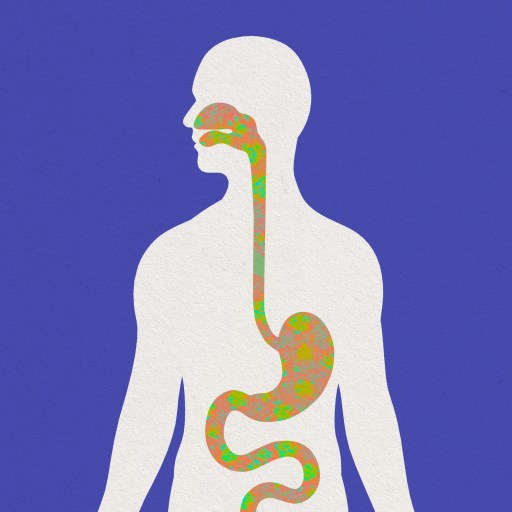 a drawing of a man with his gut microbiome highlighted.