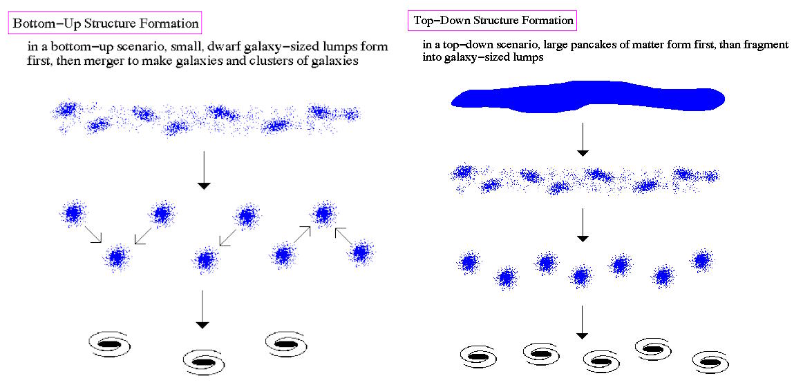 top down bottom up structure formation
