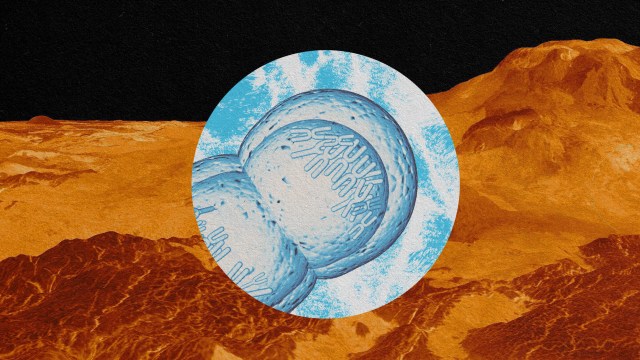 a picture of a mountain with a blue circle in the middle.