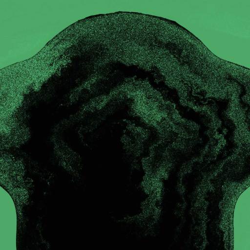 A black silhouette with two overlapping human profiles facing opposite directions on a green background.