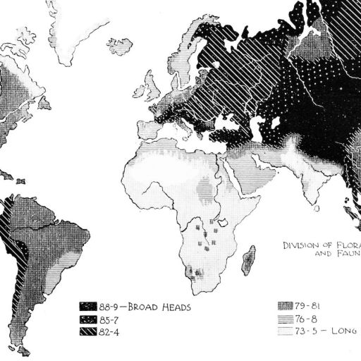 Cephalic Index World Map