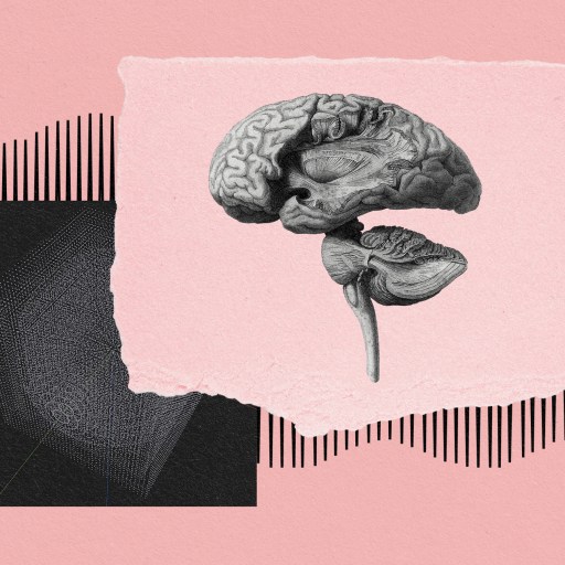 an image of consciousness represented by a brain on a pink background.