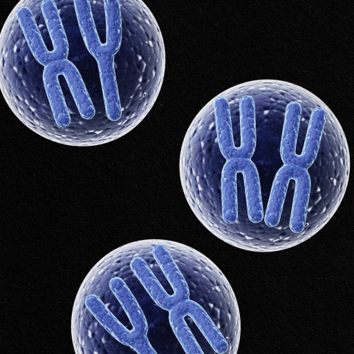 three blue - blue - blue - blue - blue - blue - blue - blue - blue - blue .