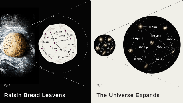 Raisin bread expanding Universe