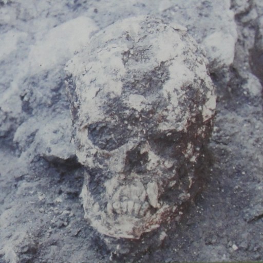 A photo of a skull conjured through necromancy in a pile of dirt.